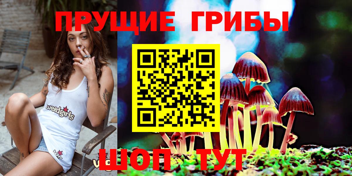 Новозыбков  Псилоцибиновые грибы ЛСД  Псилоцибиновые грибы мицелий  Вход с VPN 