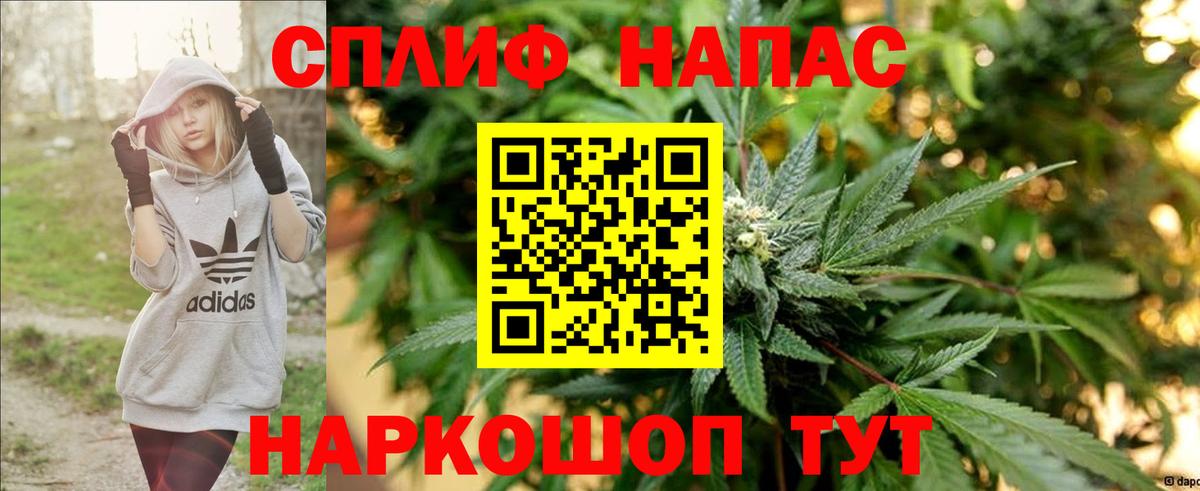 Шишки марихуана Amnesia Новозыбков
